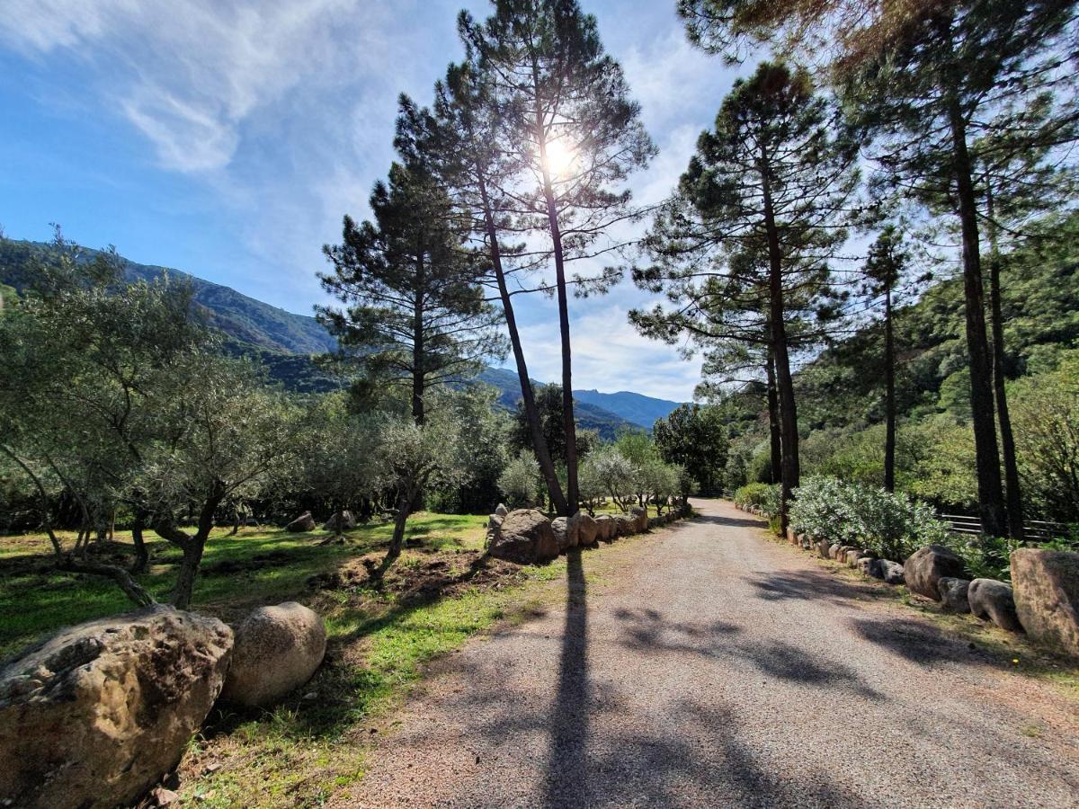 Domaine Codaleone Serriera  Dış mekan fotoğraf