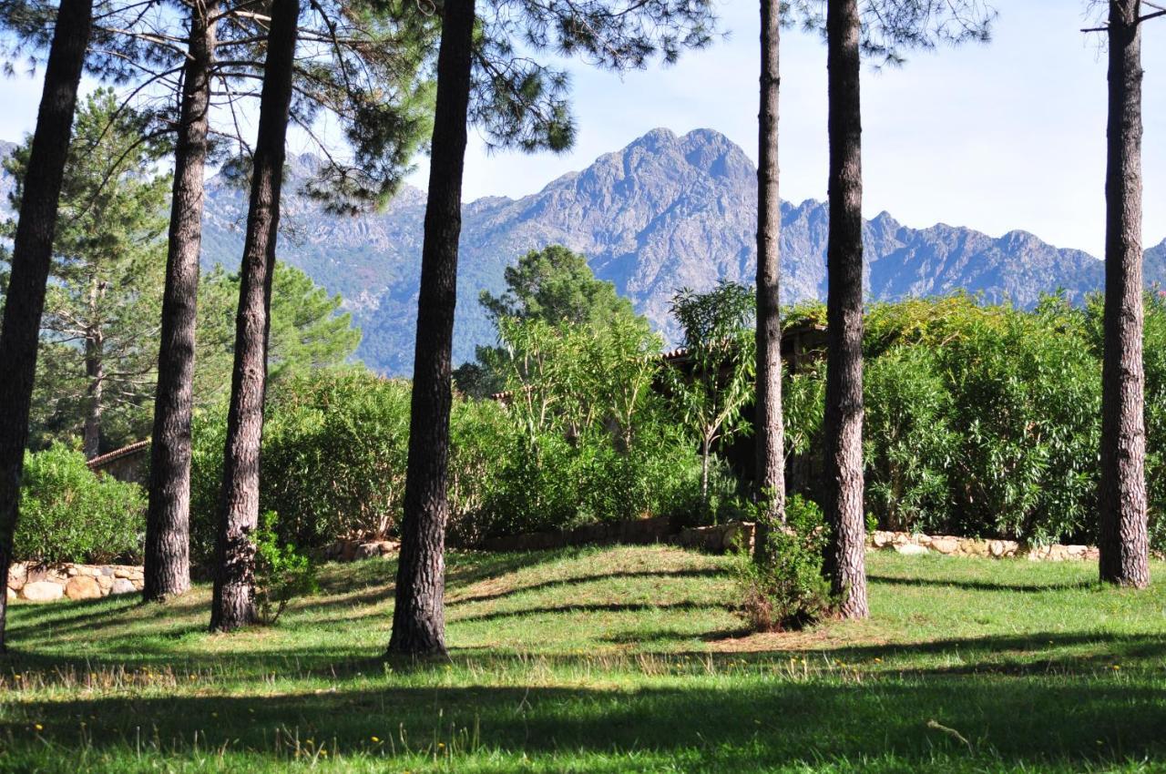 Domaine Codaleone Serriera  Dış mekan fotoğraf