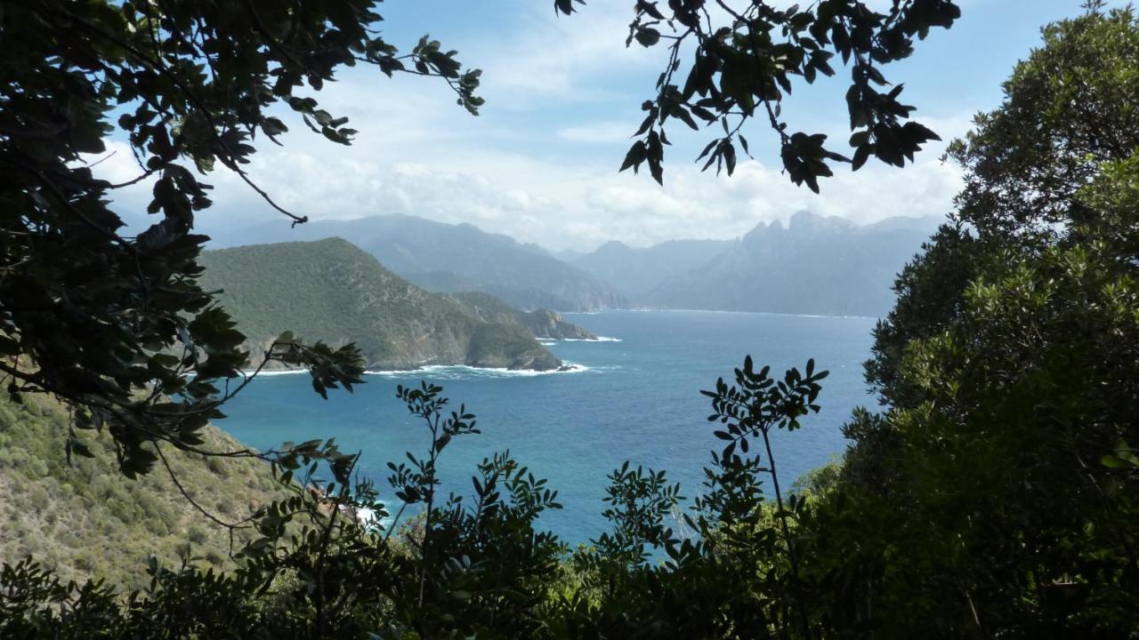 Domaine Codaleone Serriera  Dış mekan fotoğraf