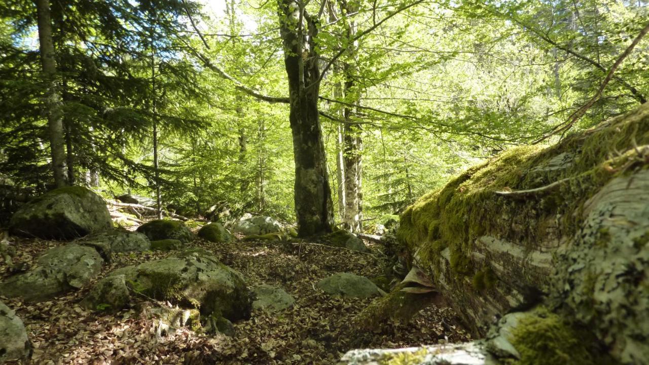 Domaine Codaleone Serriera  Dış mekan fotoğraf