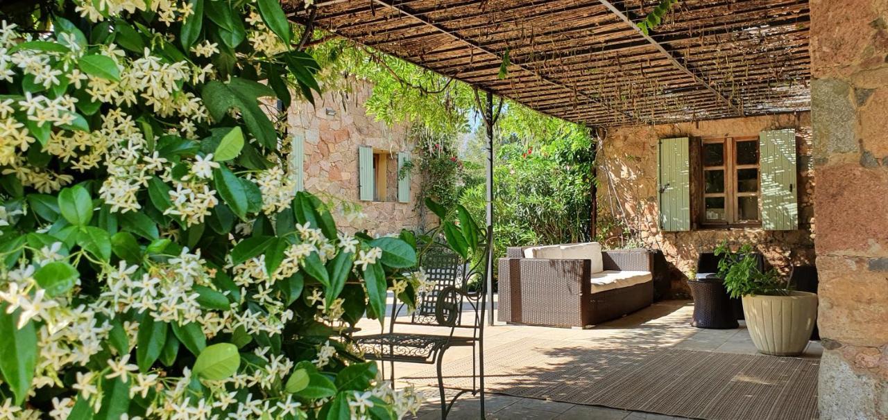 Domaine Codaleone Serriera  Dış mekan fotoğraf