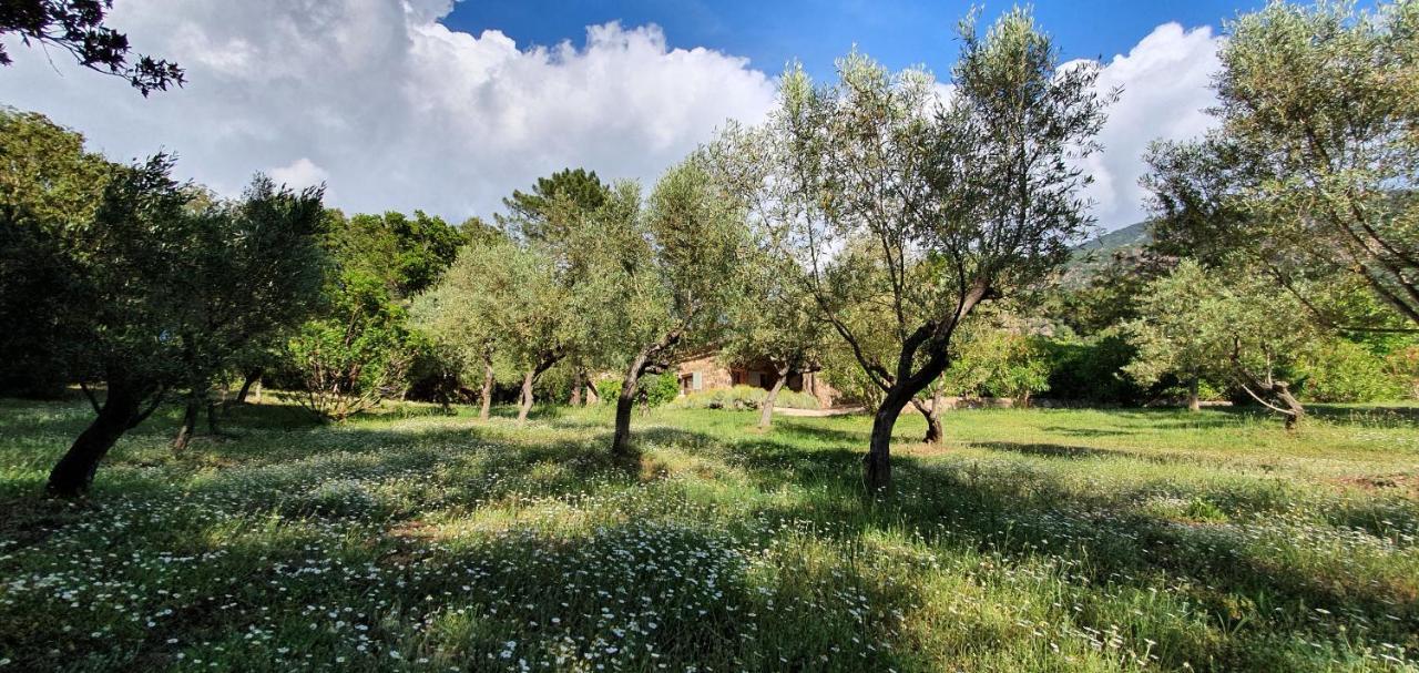Domaine Codaleone Serriera  Dış mekan fotoğraf