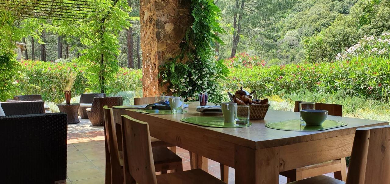 Domaine Codaleone Serriera  Dış mekan fotoğraf