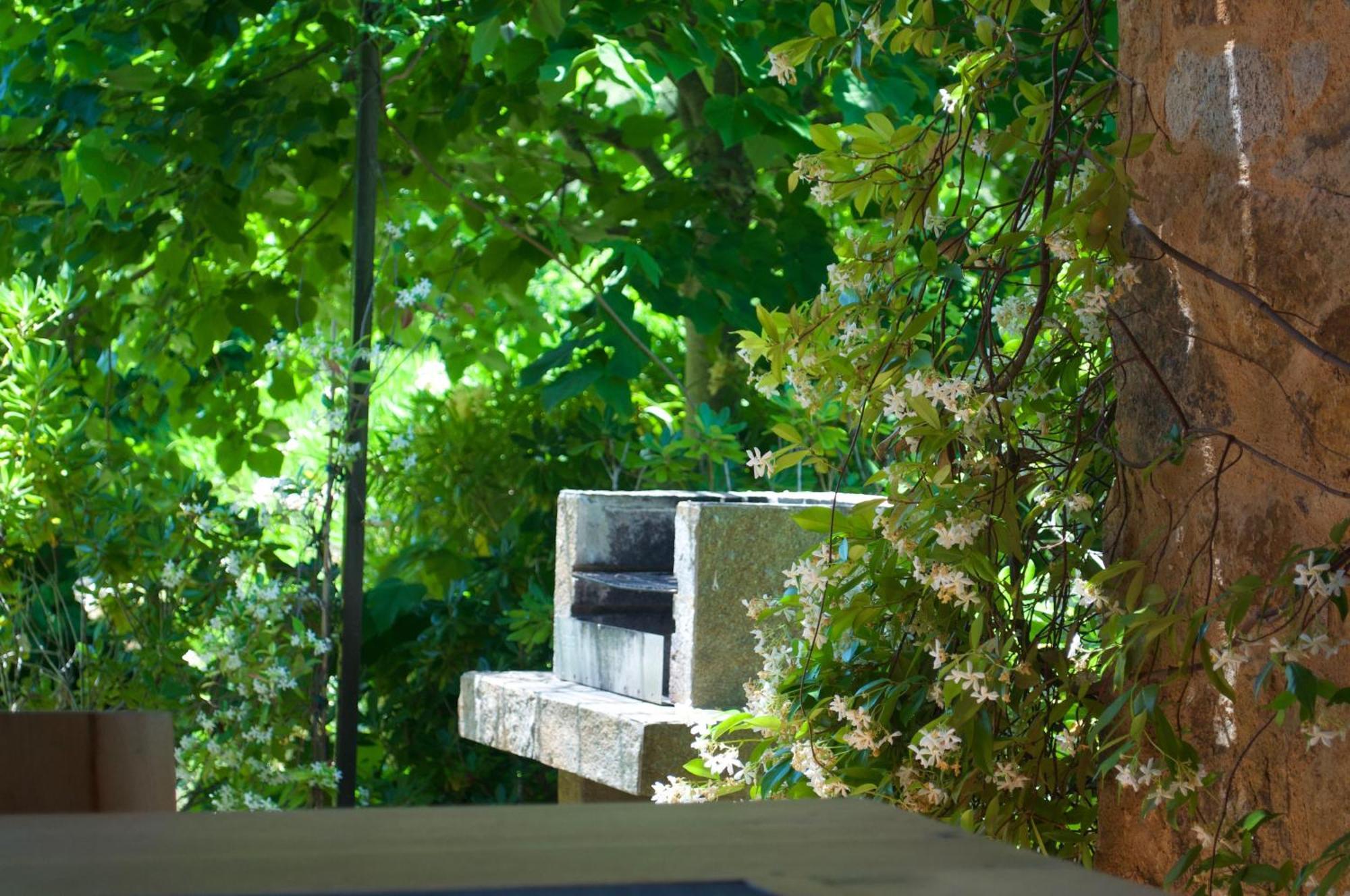 Domaine Codaleone Serriera  Oda fotoğraf