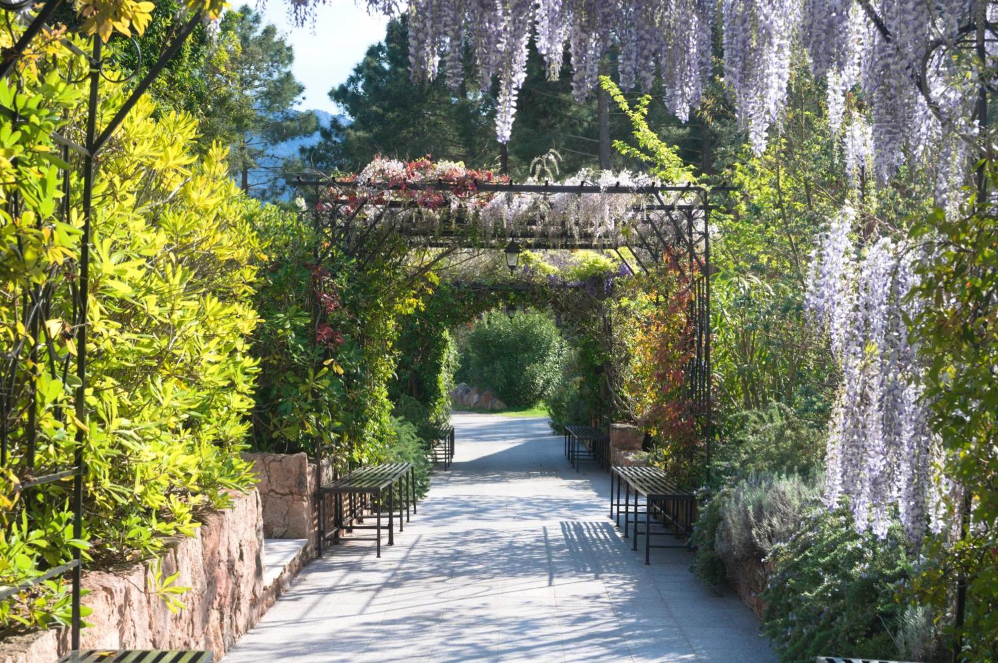 Domaine Codaleone Serriera  Oda fotoğraf